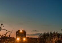 NCRTC’s Green Initiative: 250K Trees for Ghaziabad-Meerut NCRTC, Green Initiative, Ghaziabad-Meerut RRTS corridor, sustainability, environmental stewardship, transportation infrastructure, carbon emissions, socio-economic impact, green spaces, environmental conservation.