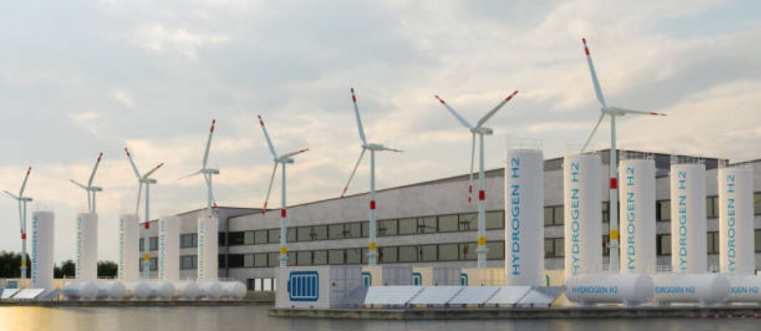 JSW Infrastructure, green hydrogen, ammonia plants, sustainable energy, port operator, Arun Maheshwari, Ministry of Ports, Shipping, and Waterways, Kandla, Paradip Adani Ports & SEZ, green fuels, JSW Energy, green energy acquisitions, Paradip port, Ennore terminal, New Mangalore terminal, Jaigarh port, JNPA terminal, Tuticorin terminal, LPG terminal, IPO.