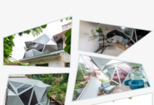 An Extension That Refuses To Behave Like One Symbiotic Parasite designed