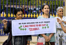 Hyderabad’s new steel flyover project sparks trees and nature concerns steel flyover