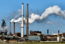 Sustainability Spotlight: Steel and Net Zero Sustainability Spotlight: Steel and Net Zero