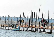 Temporary bridge at Kerala ‘Kumbh Mela’ venue in Thirunavaya inspected