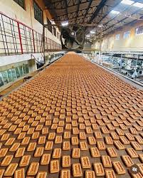 Parle Products’ Birth Manufacturing